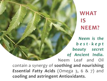 Boil Neem Leaves in Water for Clean and White Teeth