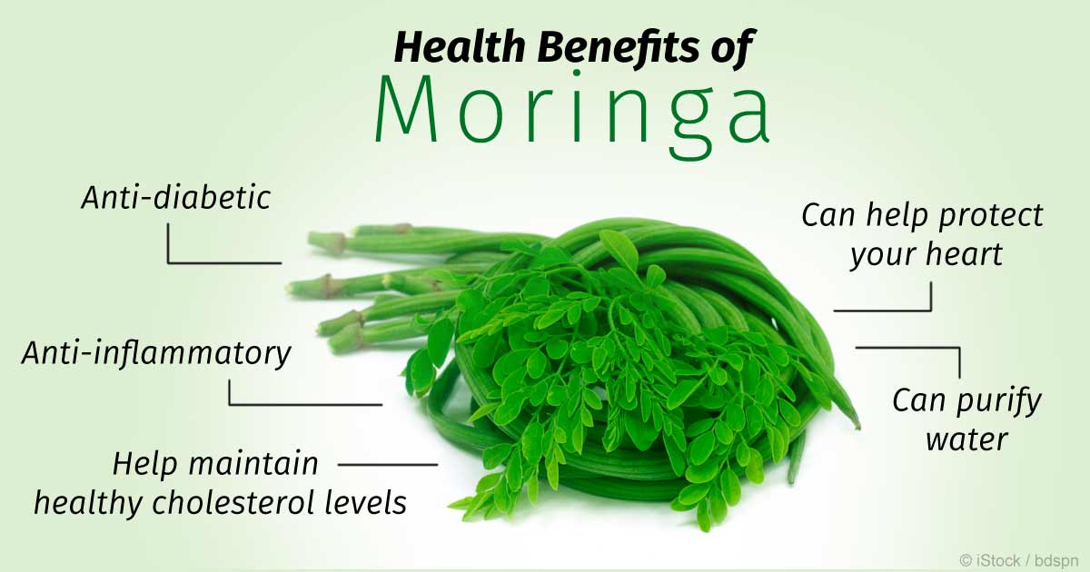 Health Benefits of Moringa 