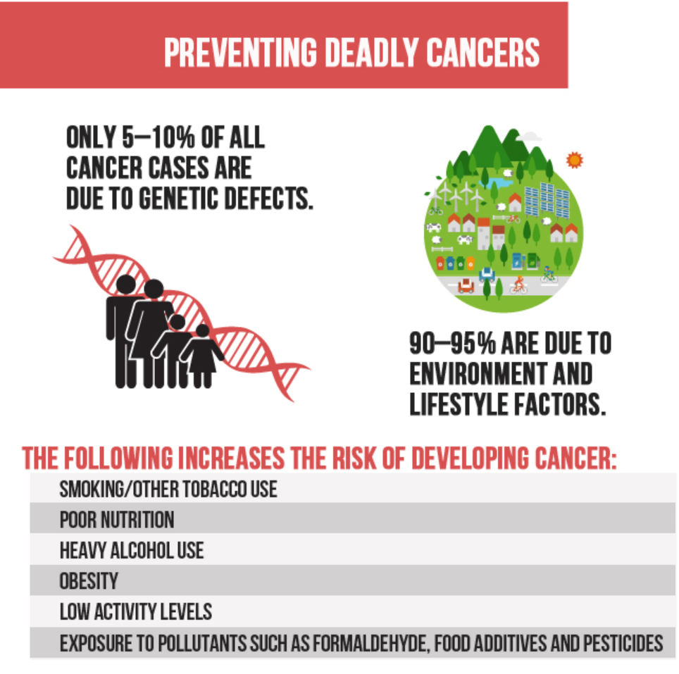 How Morigna Fights Cancer How to Prevent cancer